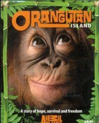 Остров орангутанов (2007) смотреть онлайн